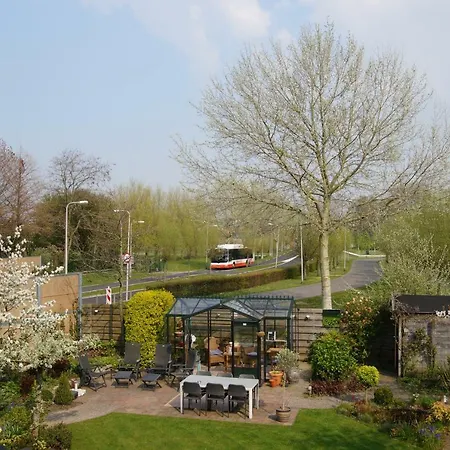 Tramkade10 Homestay Den Hoorn (South Holland)