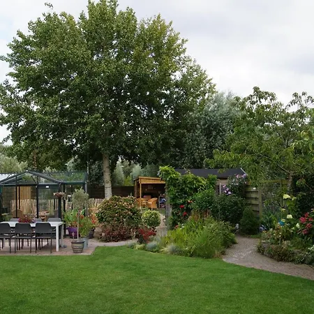 Homestay Tramkade10 Den Hoorn (South Holland)